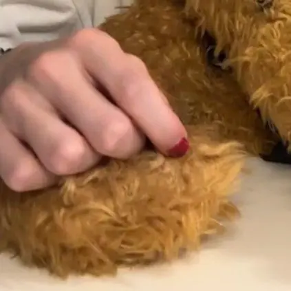 012345abcdef의 限界オタクでなにが悪い