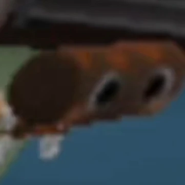 코스모
