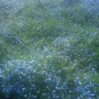 Profile image of 잠뜰