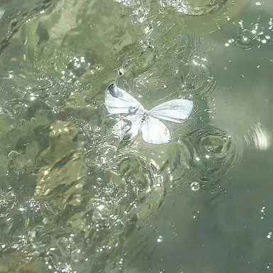 Profile image of 공룡