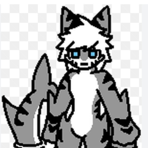 Tiger shark 대표 이미지