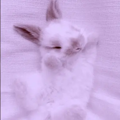 Profile image of 황수현