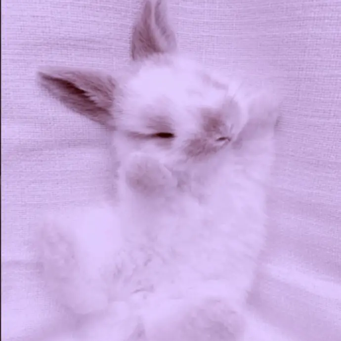 hangsing.cookie의 반존대 집사님