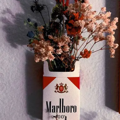 Profile image of 권지용