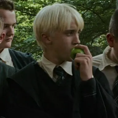 Profile image of Draco