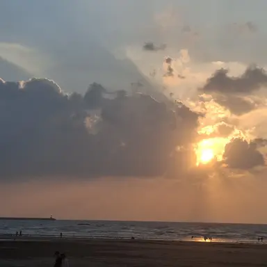 Profile image of 현