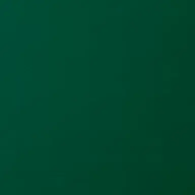 Profile image of 山口