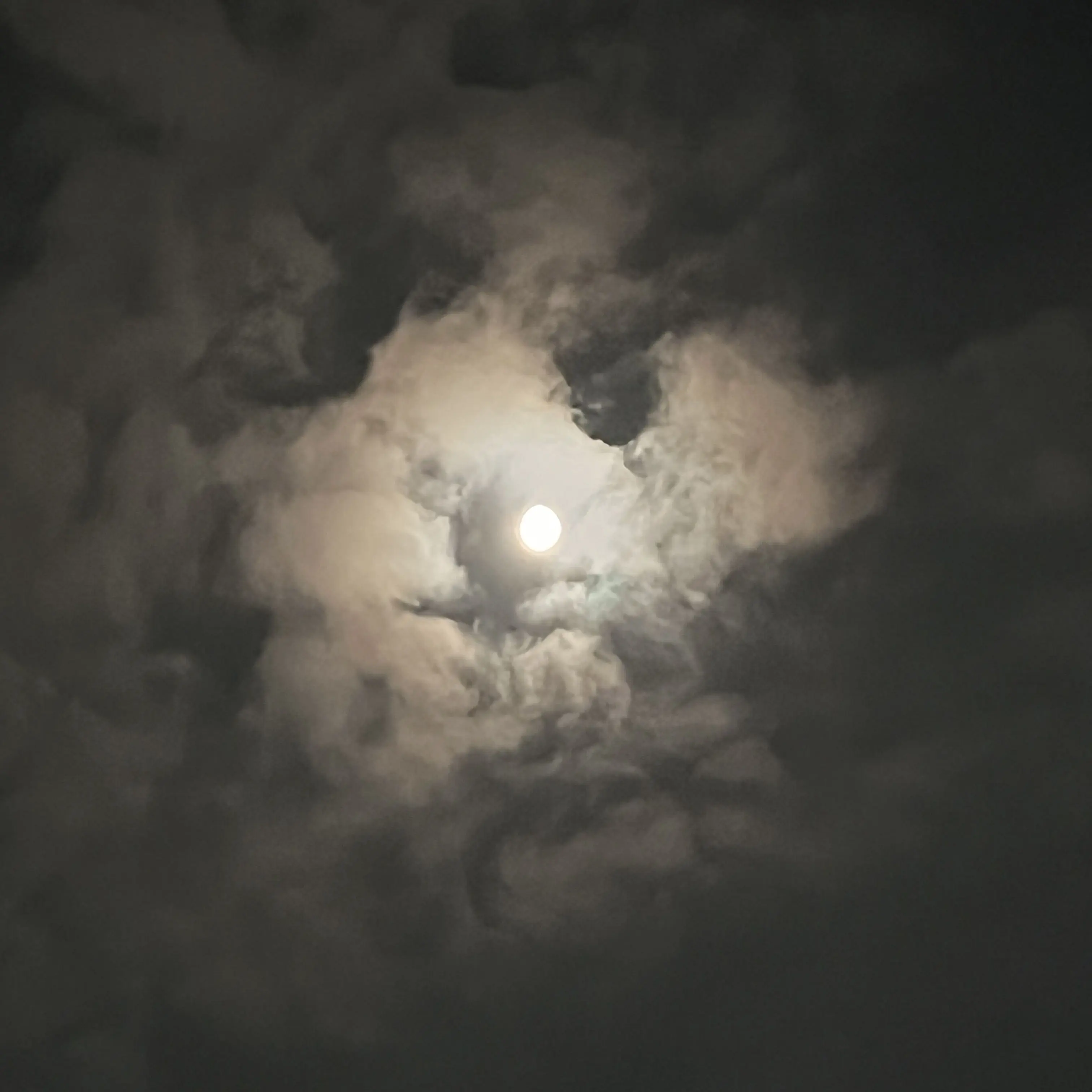 TKPTKP의 Nocturnal Lovers