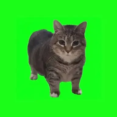 Profile image of 멍재현