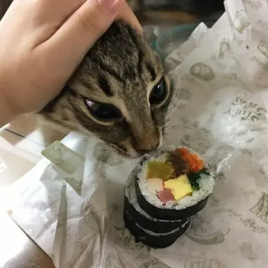 Profile image of 커비