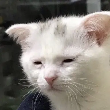 Profile image of 릭.카인.쿠우