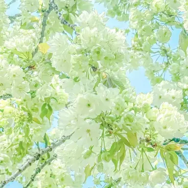 Profile image of 민재