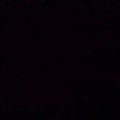 Profile image of 타비