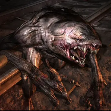 Profile image of 노살리스