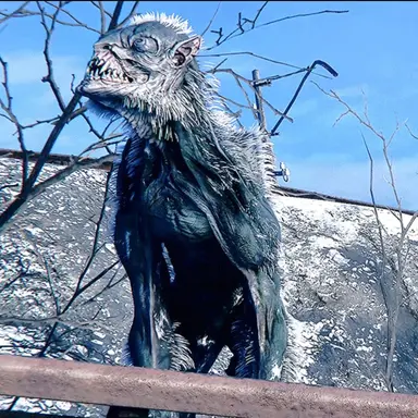 Profile image of 워치맨