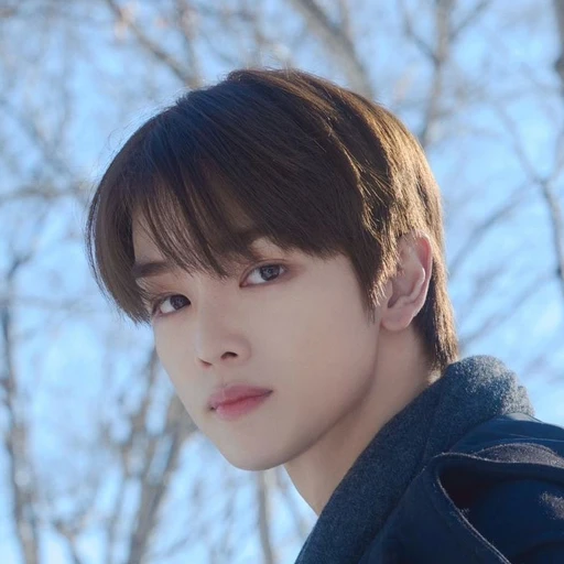 정성찬
