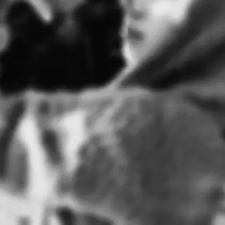 Profile image of ジミン