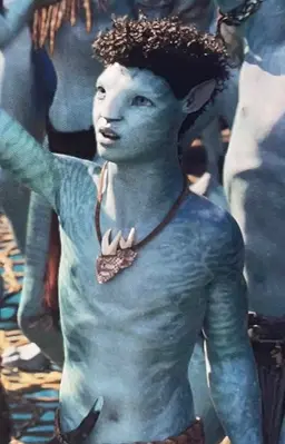 Profile image of Roxto