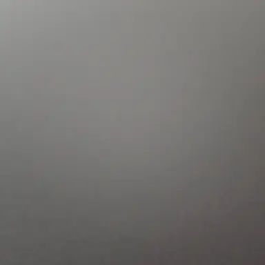 Profile image of 자유롭게