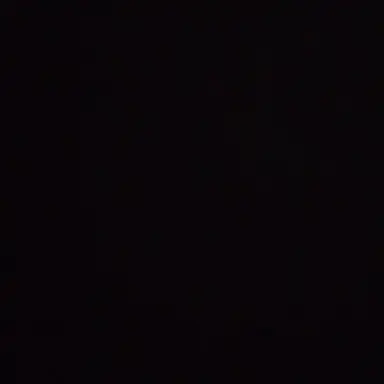 Profile image of M