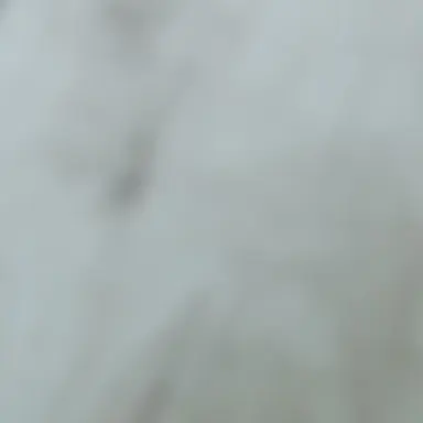 Profile image of 밀로우