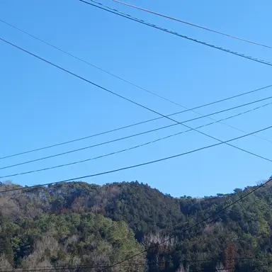 Profile image of 각별