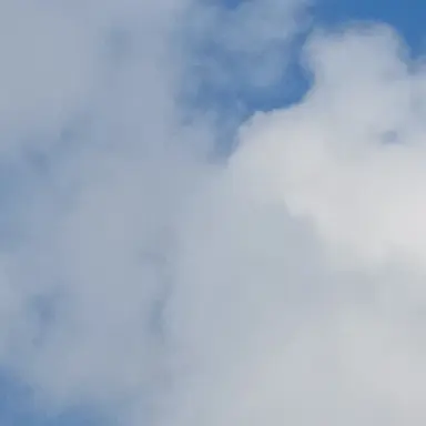 Profile image of 덕개