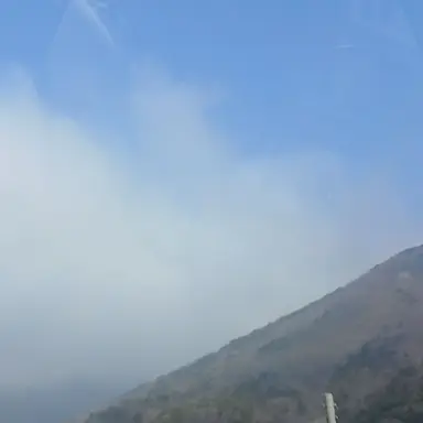 Profile image of 라더