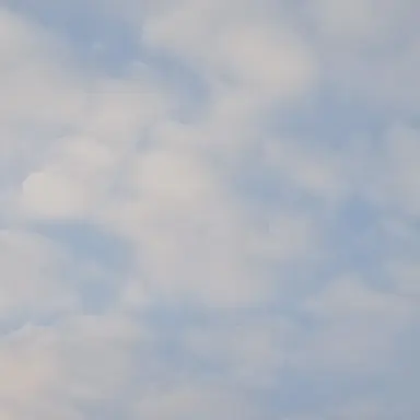 Profile image of 공룡