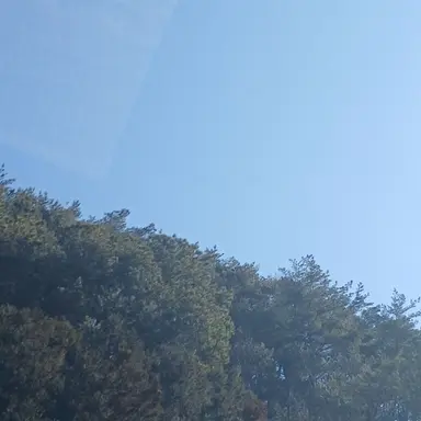 Profile image of 잠뜰