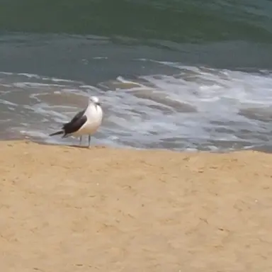 Profile image of 아버지