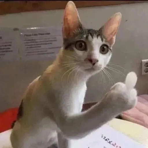 ooooooooooo_8oo의 고양이