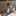 고양이