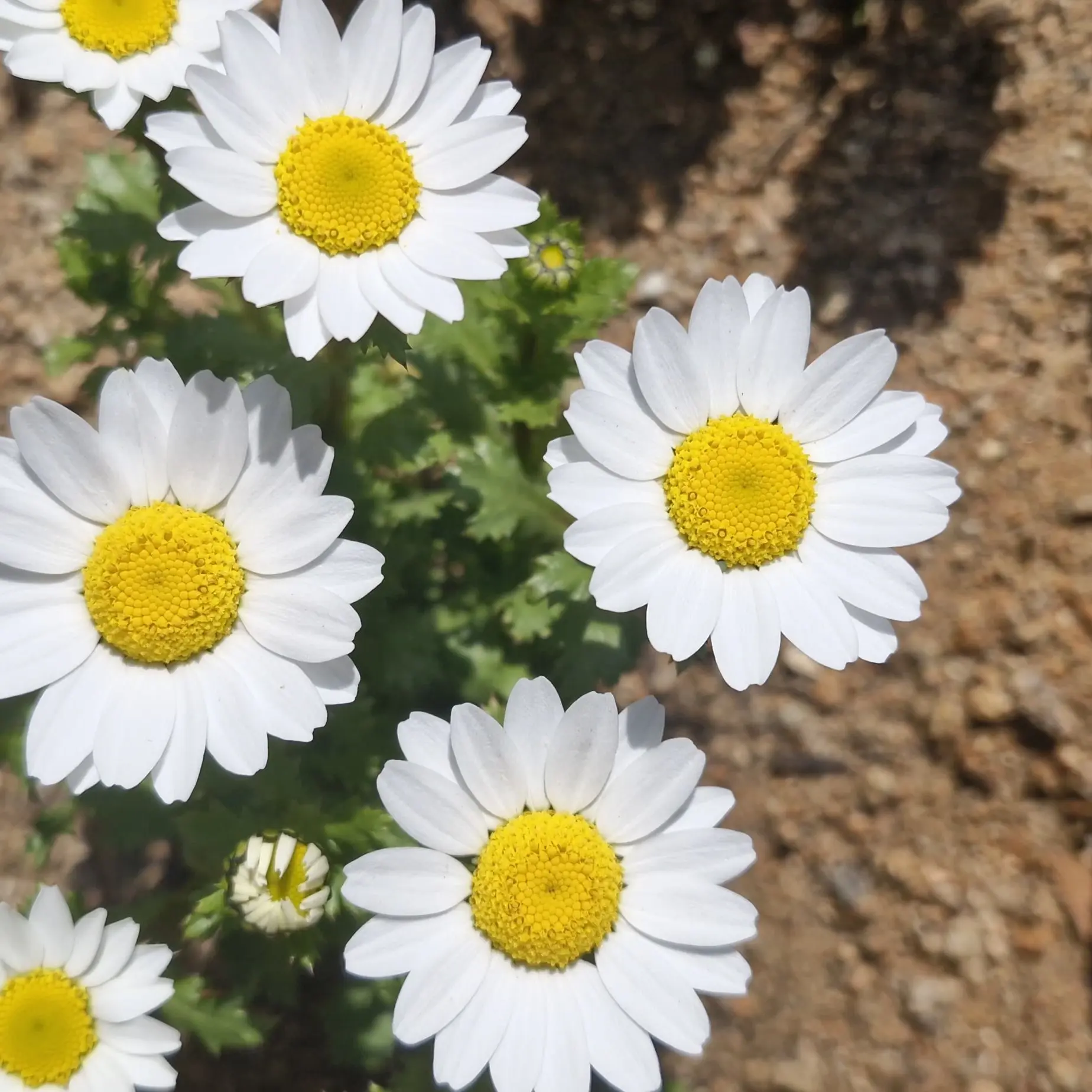 ZestyReef6138의 이름 몰르는 선배