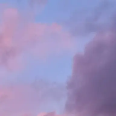 Profile image of 평학