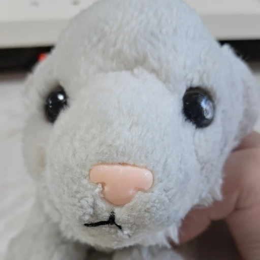호순이