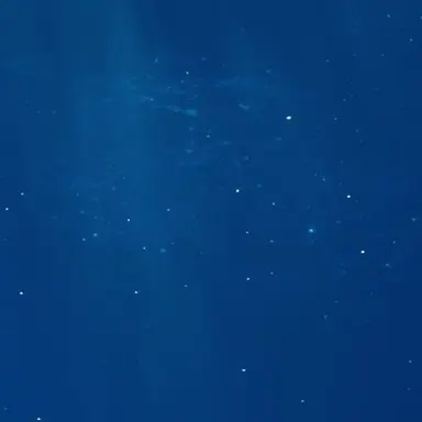 Profile image of 武田信玄