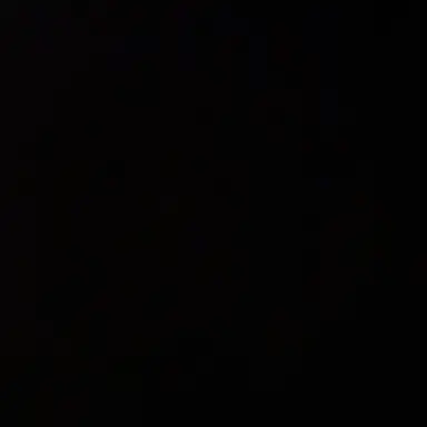 Profile image of 뇌제