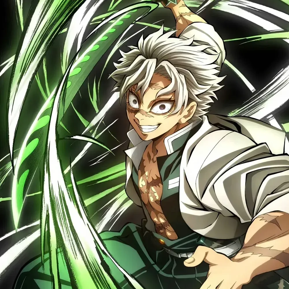 시나즈가와 사네미