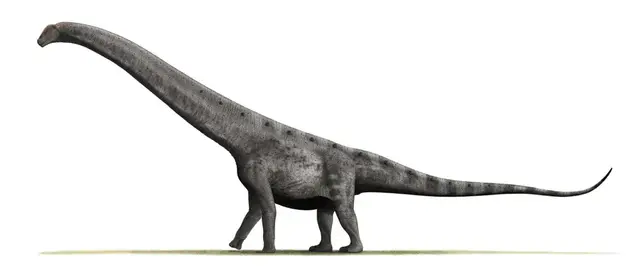 Profile image of 恐竜たち3