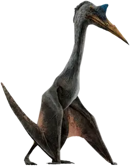Profile image of 恐竜たち3