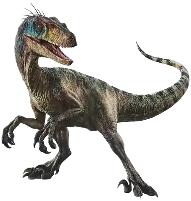 Profile image of 恐竜たち1