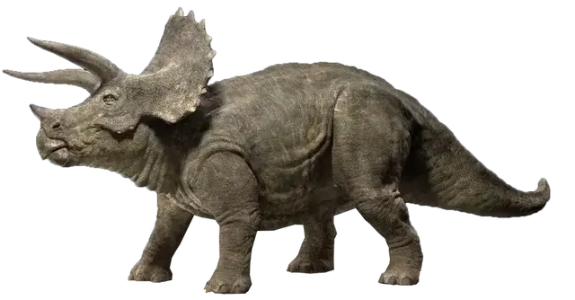 Profile image of 恐竜たち1