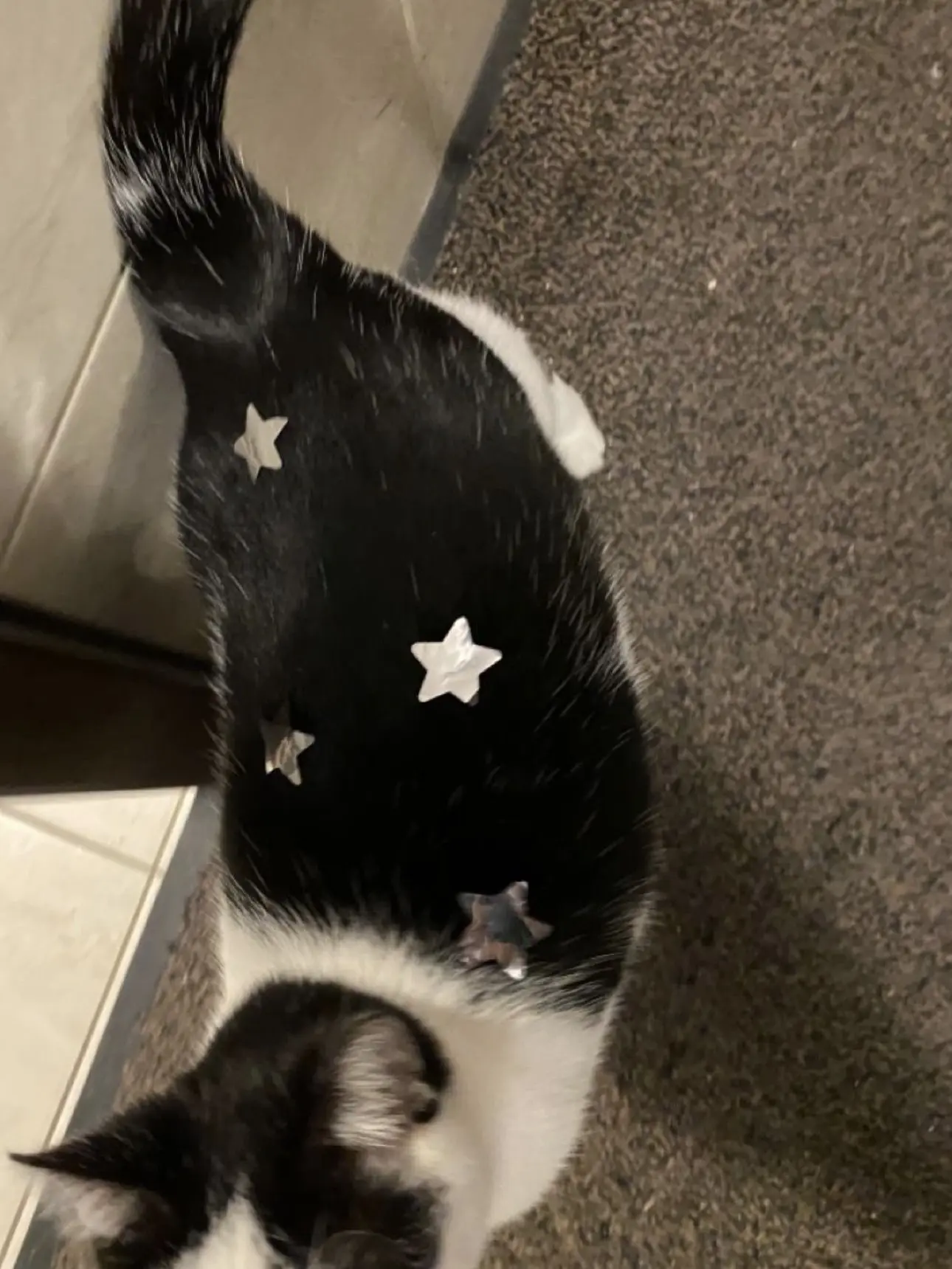 pul_l의 不器用なとこが好きなんです。