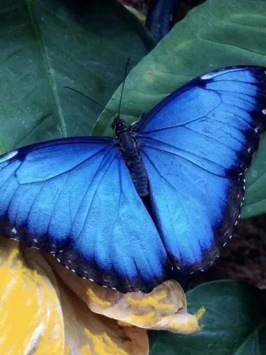 D0nt.fo1low.m3의 연대의 소금