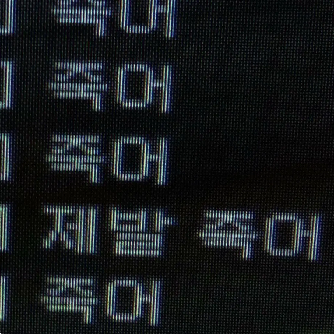 Doyouknow_kimchi의 이도아