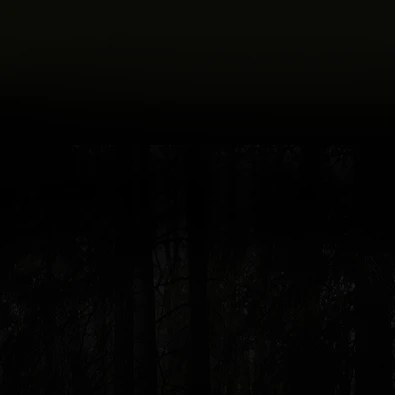 미야모토 타츠야