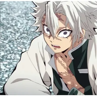 Profile image of 시나즈가와 사네미