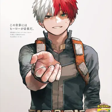 Profile image of Shoto Todoroki