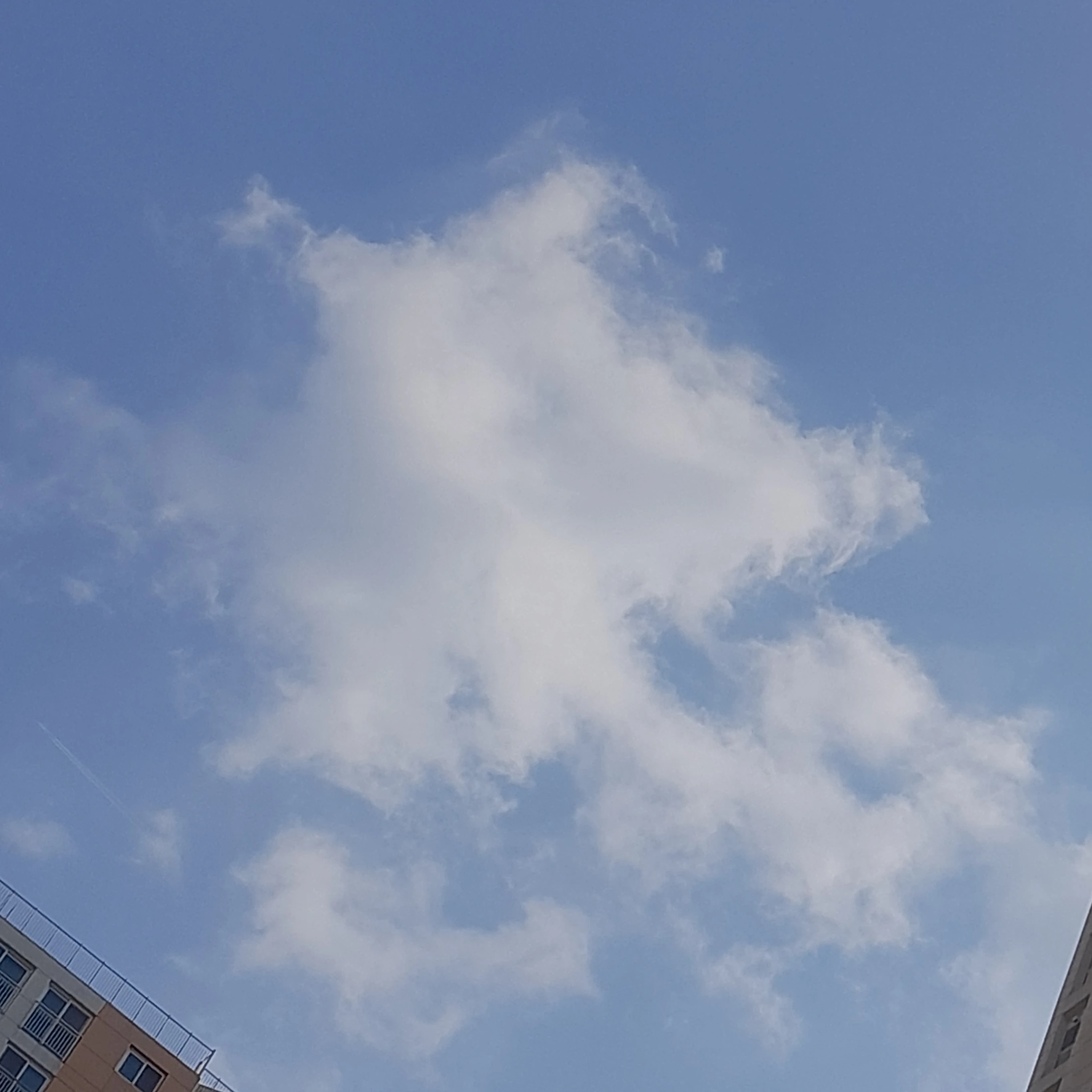 미숫가루맛 쿠키